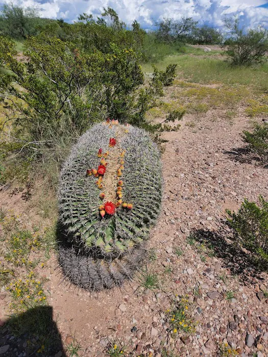 Owl Creek Campground 1