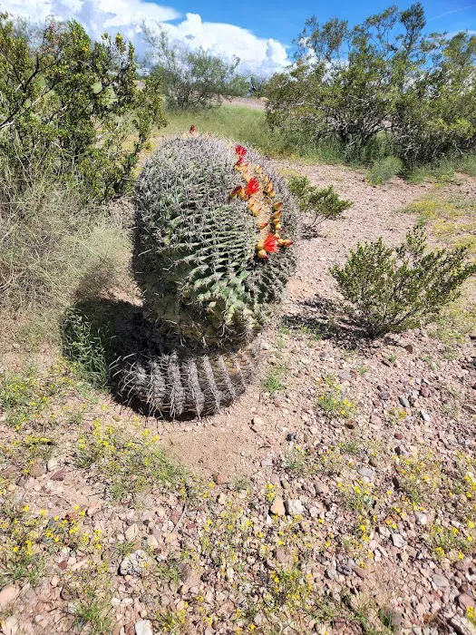 Owl Creek Campground 6