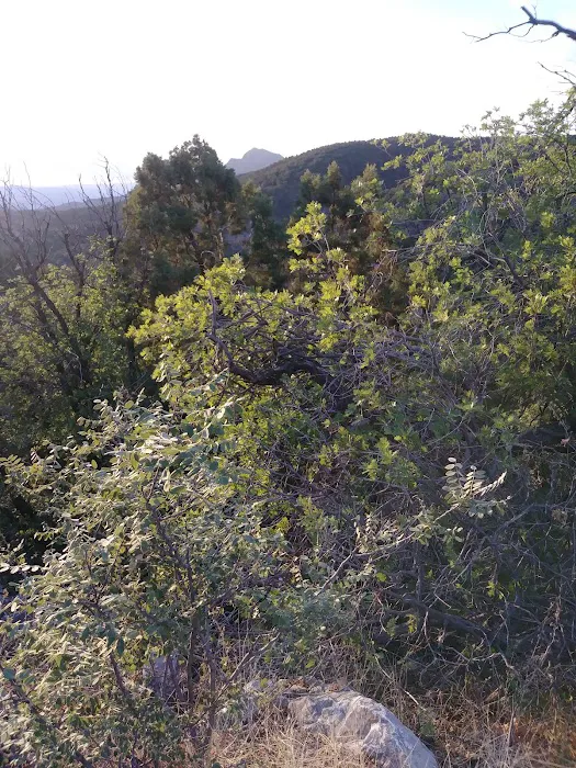 Granville Campground 7