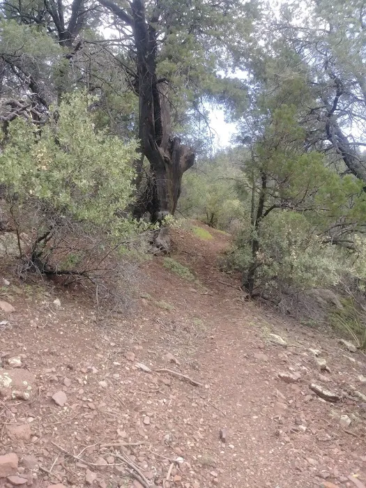 Granville Campground 4