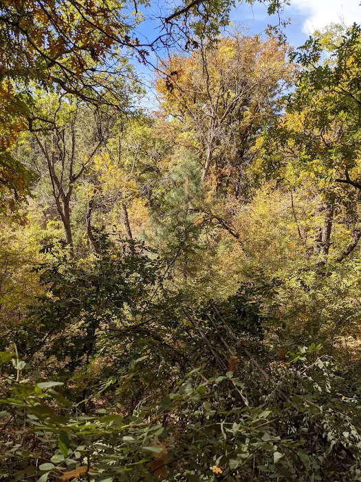 Granville Campground 8