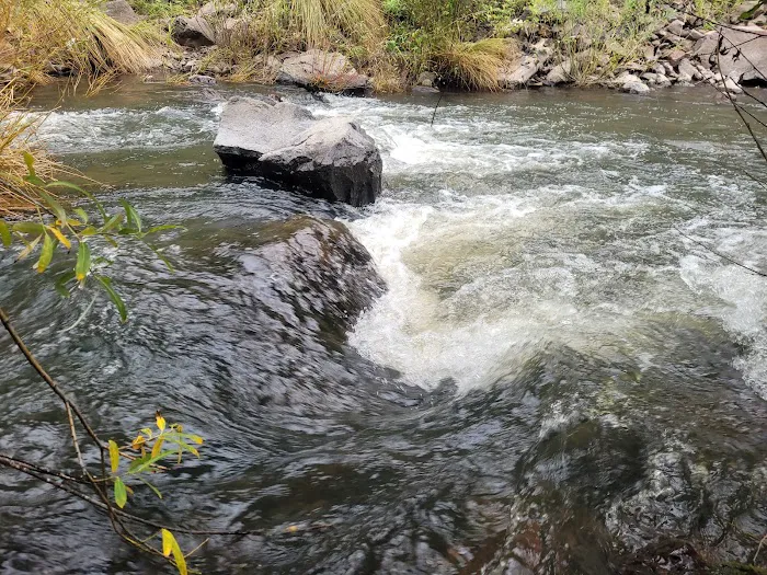 Aspen Campground - East Fork Black RIver 4