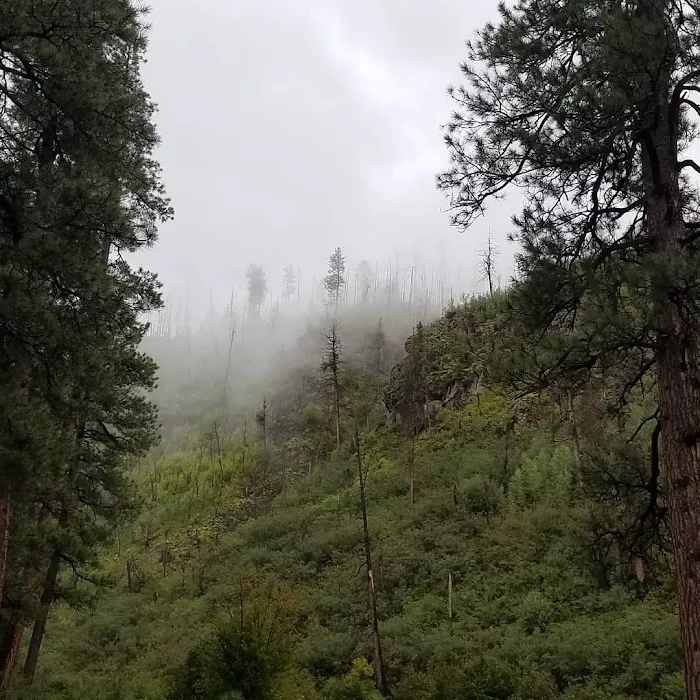 Aspen Campground - East Fork Black RIver 6