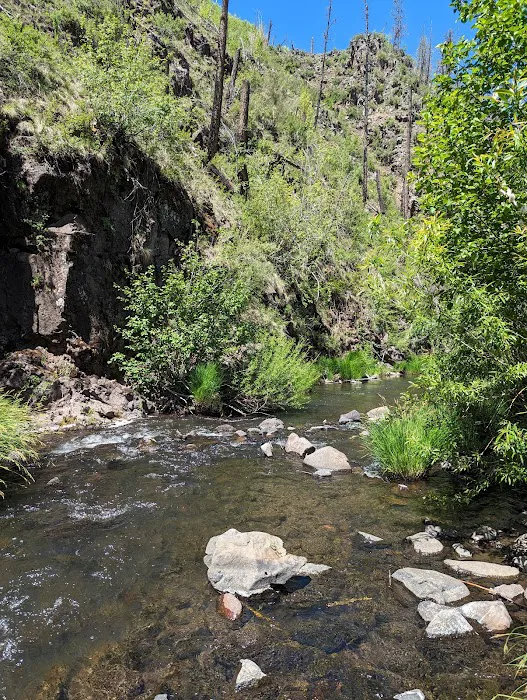 Aspen Campground - East Fork Black RIver 9