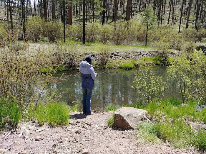 Aspen Campground - East Fork Black RIver 8