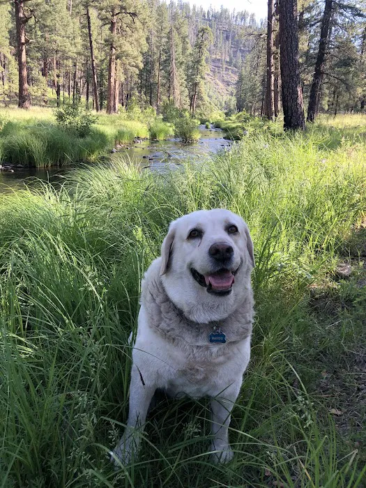 Diamond Rock Campground 3