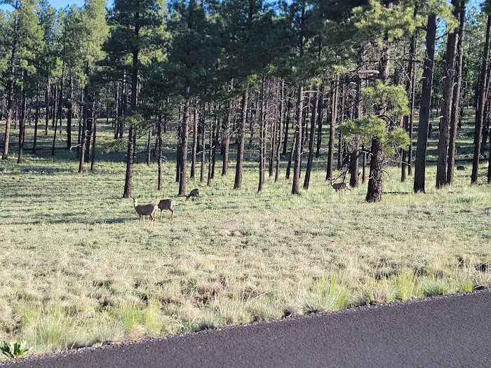 Diamond Rock Campground 6
