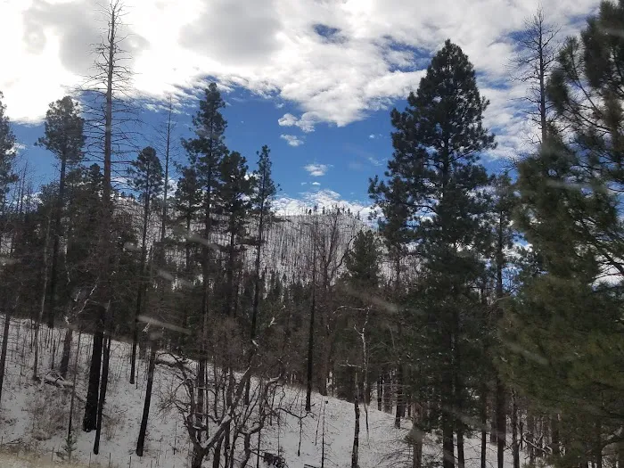 Alpine Divide Campground 4