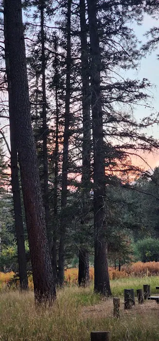 Alpine Divide Campground 3