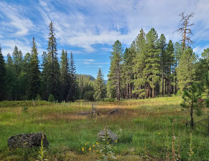Alpine Divide Campground 0