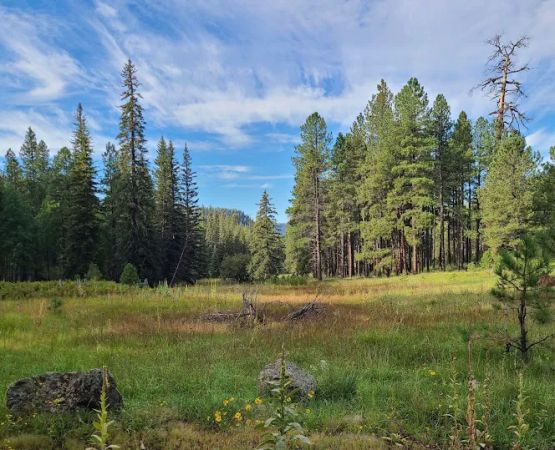 Alpine Divide Campground