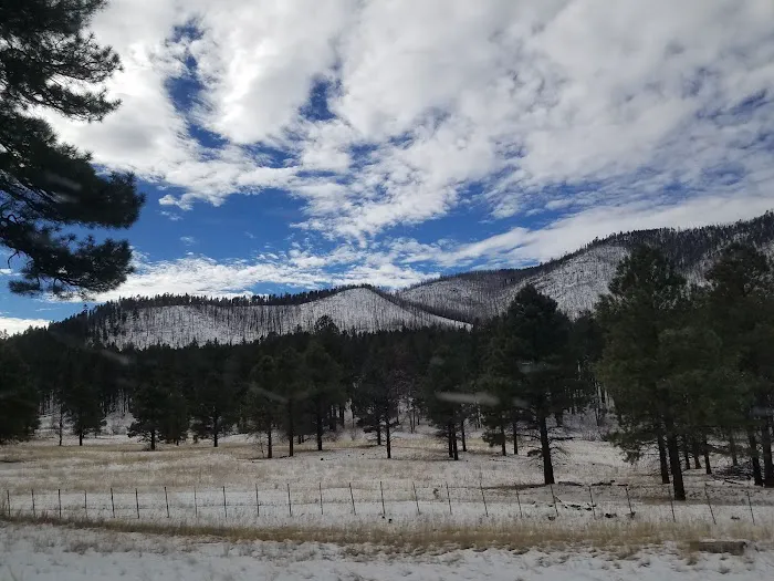 Alpine Divide Campground 5