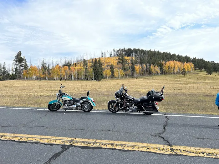 Alpine Divide Campground 9