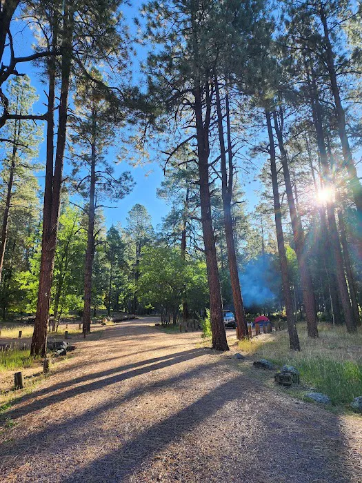 Alpine Divide Campground 1