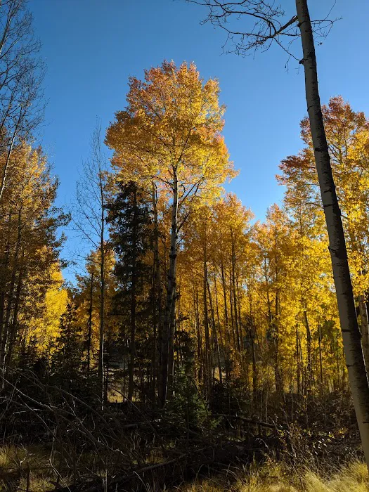 Rainbow Campground 8