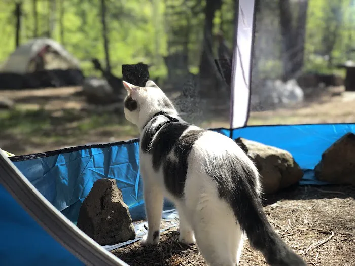 Rainbow Campground 4