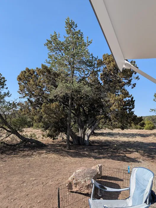 Datil Well Recreation Area Campground 1