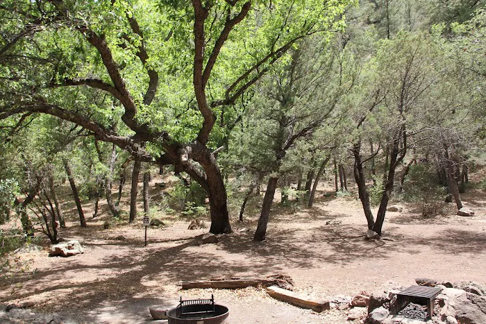 Upper Juan Miller Campground 0