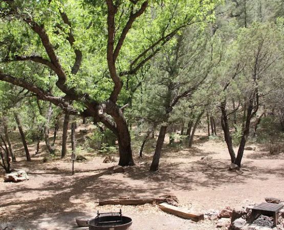 Upper Juan Miller Campground