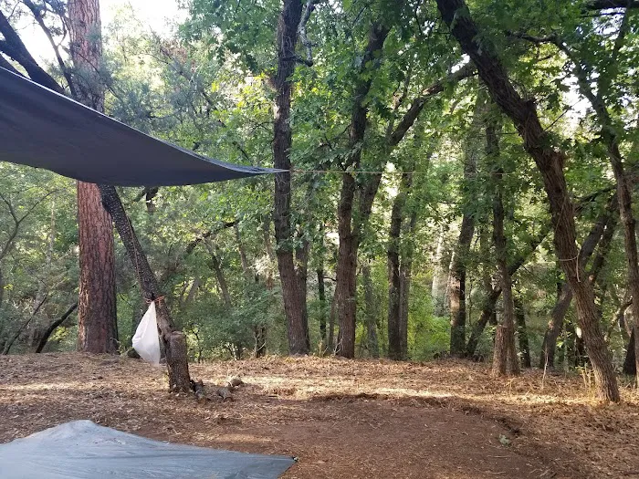 Lower Juan Miller Campground 7