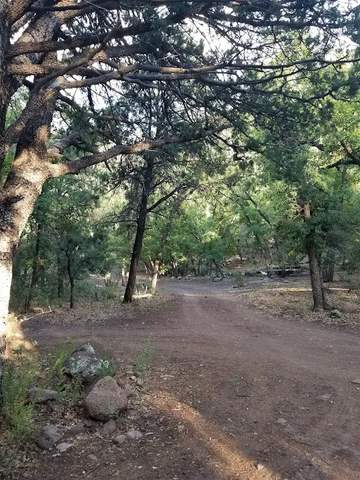 Lower Juan Miller Campground 4