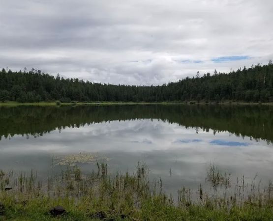 Pacheta Lake Campground