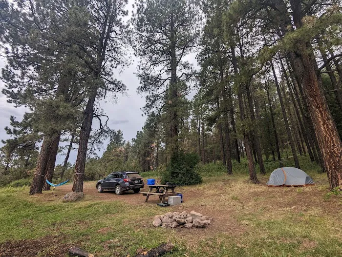 Pacheta Lake Campground 9