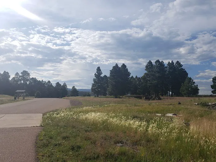 Apache Trout Campground 4