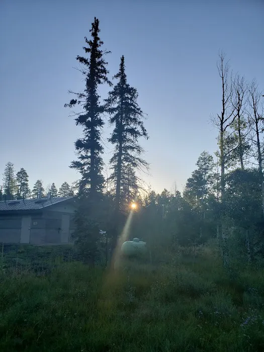 Apache Trout Campground 2