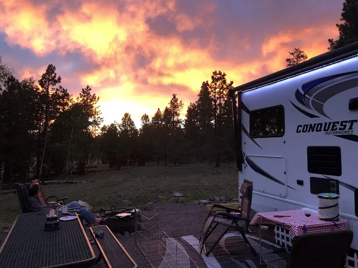 Apache Trout Campground 1