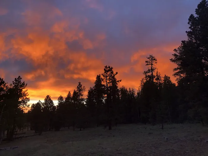 Apache Trout Campground 9