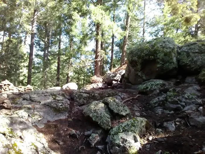 CUTTHROAT 6