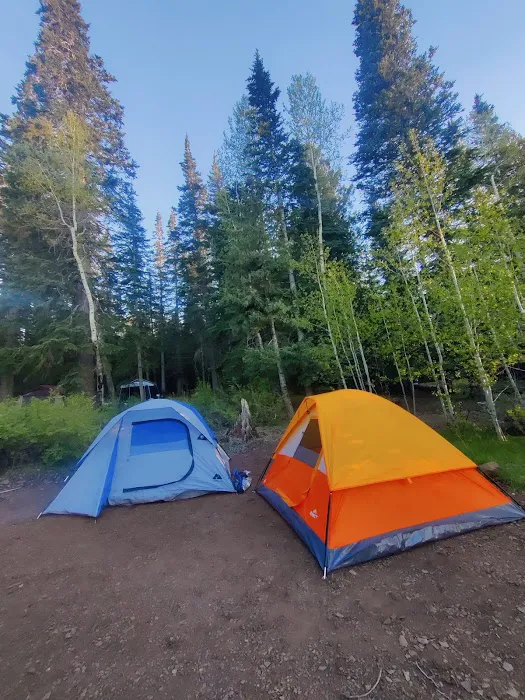Brookchar Campground 8