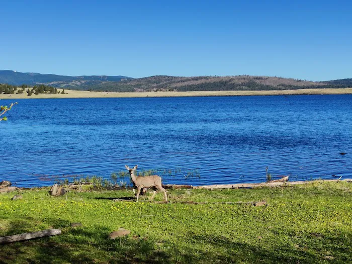 Brookchar Campground 4