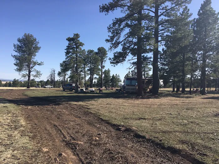 Brookchar Campground 9