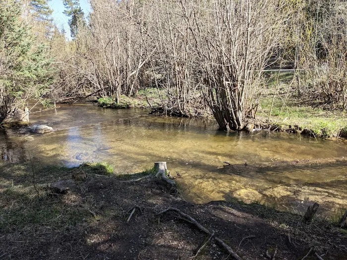 Trampas Medio Campground 2