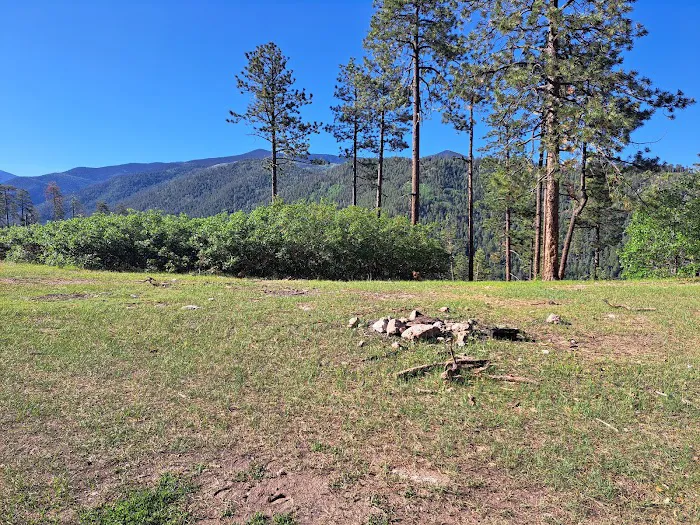 Borrego Mesa Campground 5