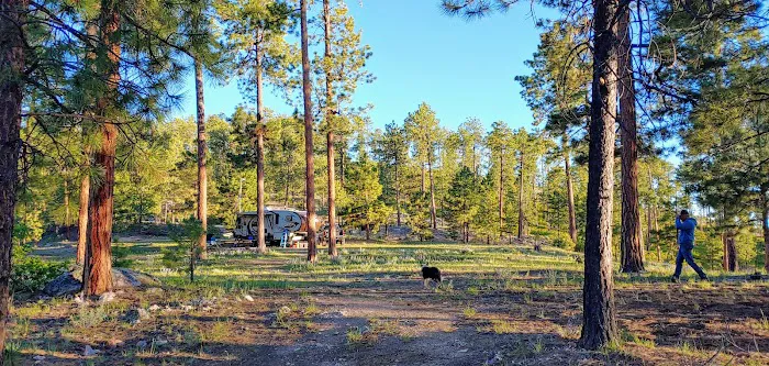 Borrego Mesa Campground 1