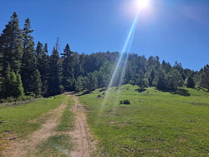 Borrego Mesa Campground 2