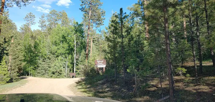 Borrego Mesa Campground 8
