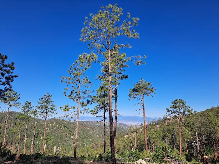 Borrego Mesa Campground 3