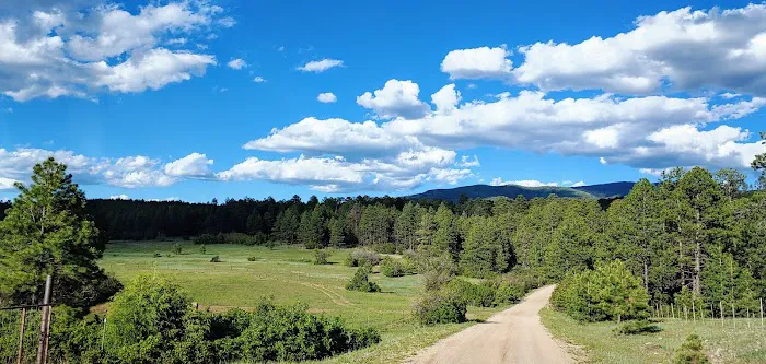 Borrego Mesa Campground 6