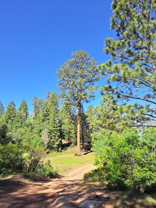 Borrego Mesa Campground 9