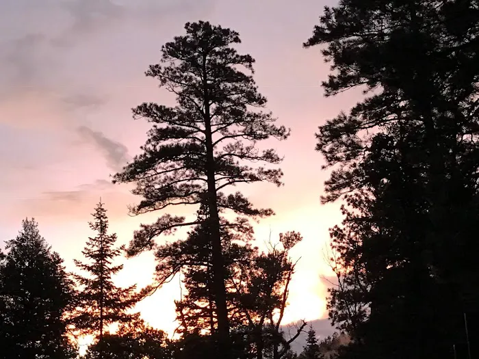 E.V. Long Campground 2