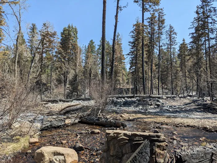 El Porvenir Campground 7