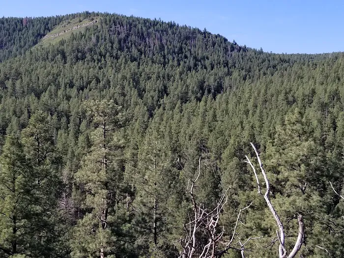 El Porvenir Campground 6