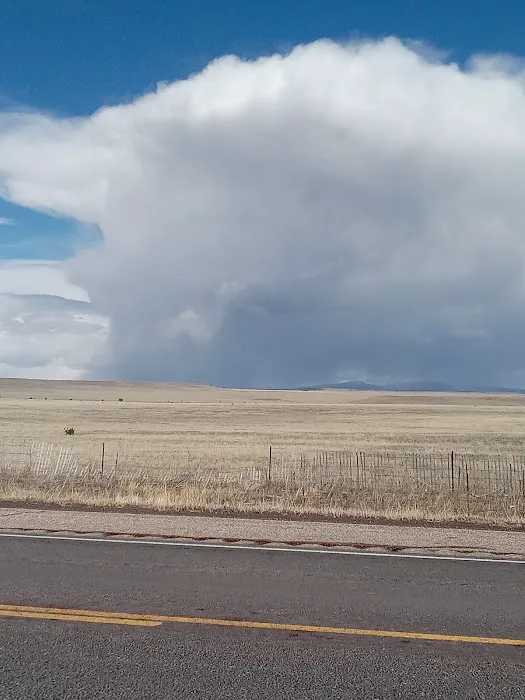 New Mexico State Forestry 2