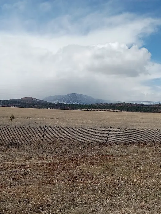 New Mexico State Forestry 0