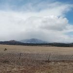 New Mexico State Forestry