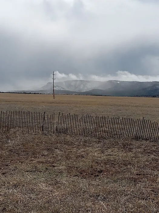 New Mexico State Forestry 1
